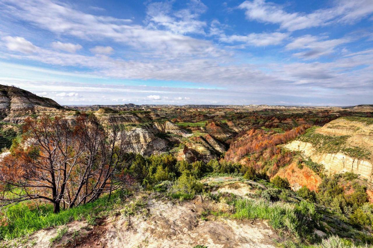 Badlands Suite Less Than 1 Mi To Teddy Roosevelt Park! Medora Esterno foto