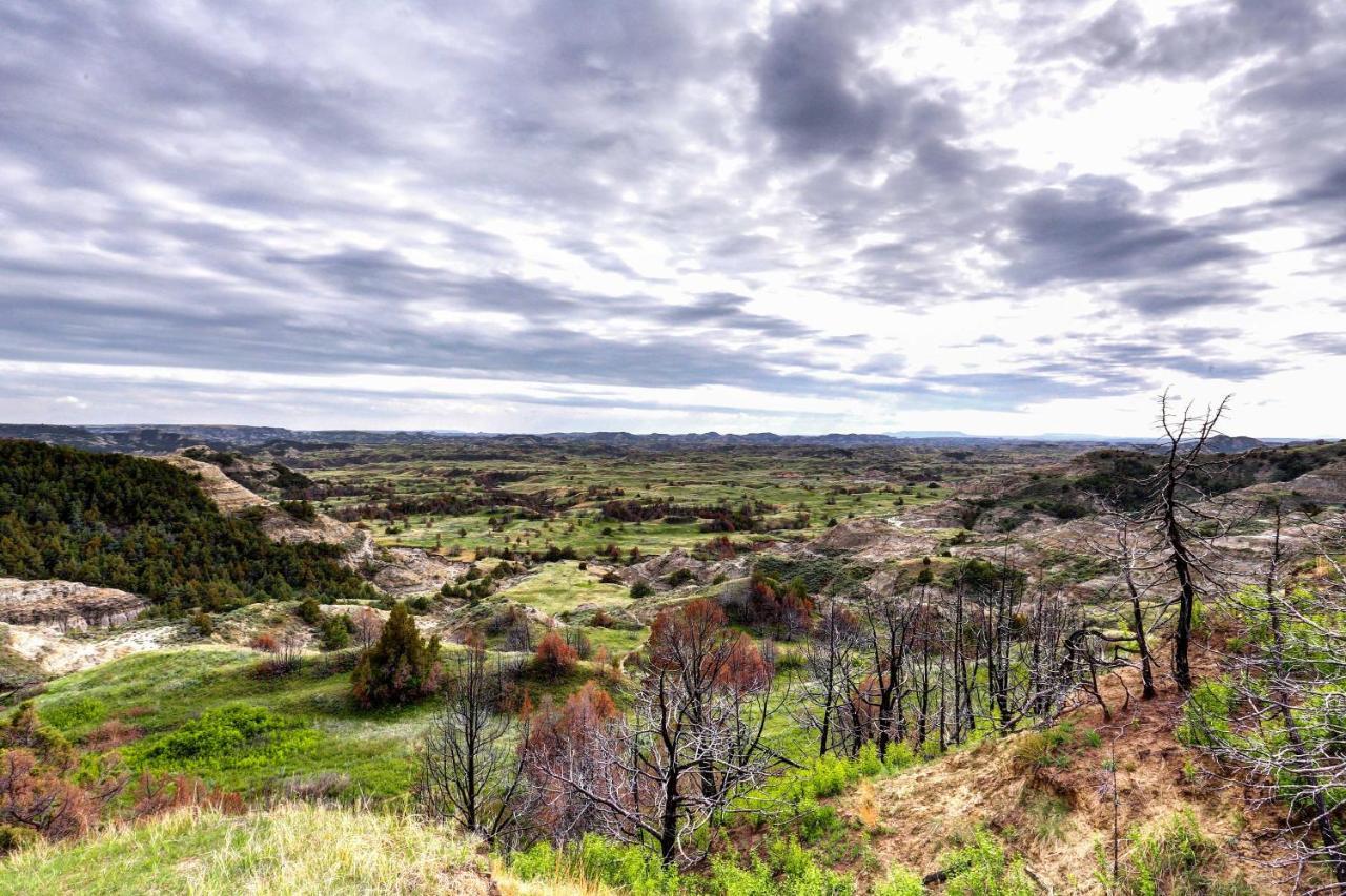 Badlands Suite Less Than 1 Mi To Teddy Roosevelt Park! Medora Esterno foto